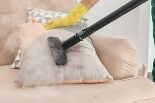 steam bed bug treatment vaughan