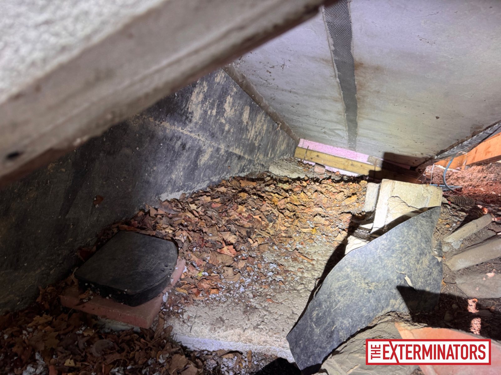 vaughan crawlspace overview inspection 08 vaughan crawlspace overview inspection 08