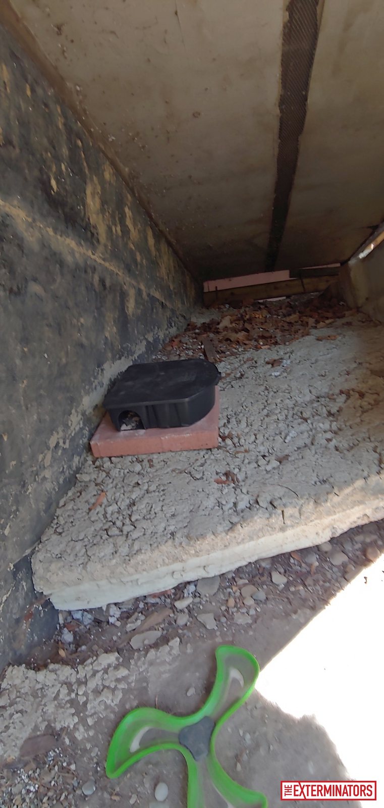 vaughan crawlspace trap setup install 05 vaughan crawlspace trap setup install 05