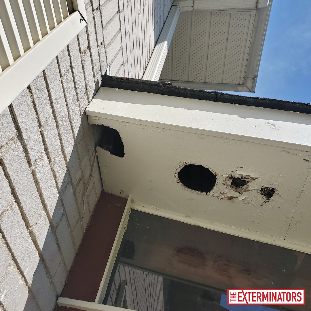 vaughan exterior entry point before 05 vaughan exterior entry point before 05