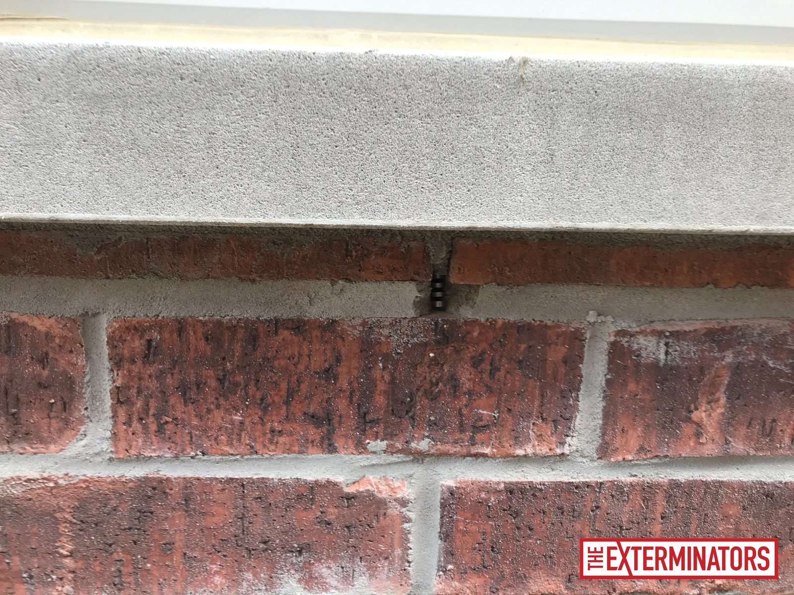 vaughan exterior entry point inspection 01 vaughan exterior entry point inspection 01