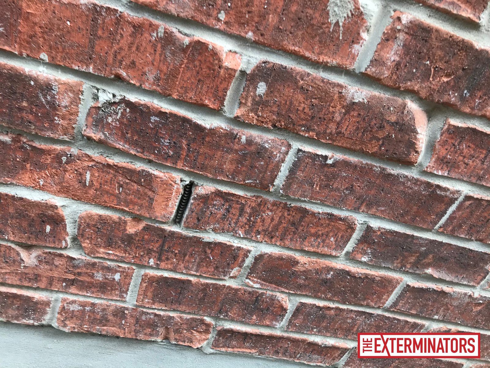 vaughan exterior entry point inspection 02 vaughan exterior entry point inspection 02