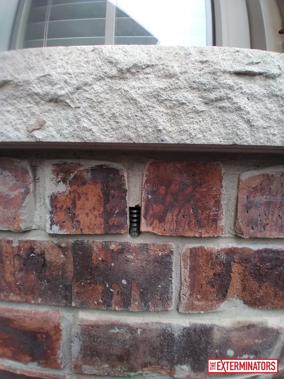 vaughan exterior one way door install 04 vaughan exterior one way door install 04