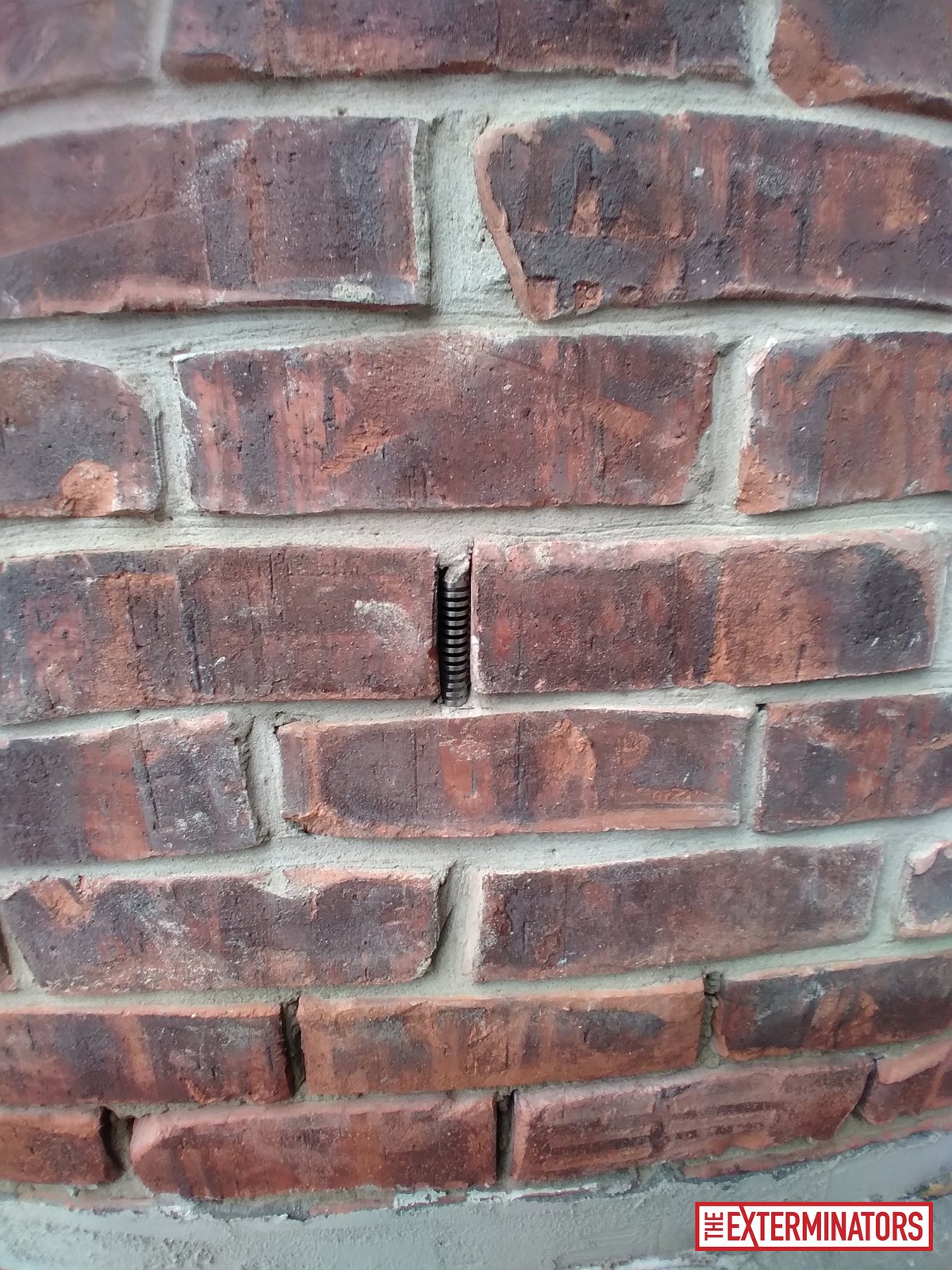 vaughan exterior one way door install 05 vaughan exterior one way door install 05