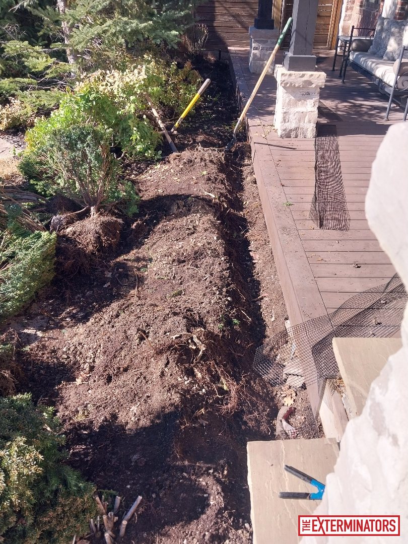 vaughan exterior overview after 01 vaughan exterior overview after 01