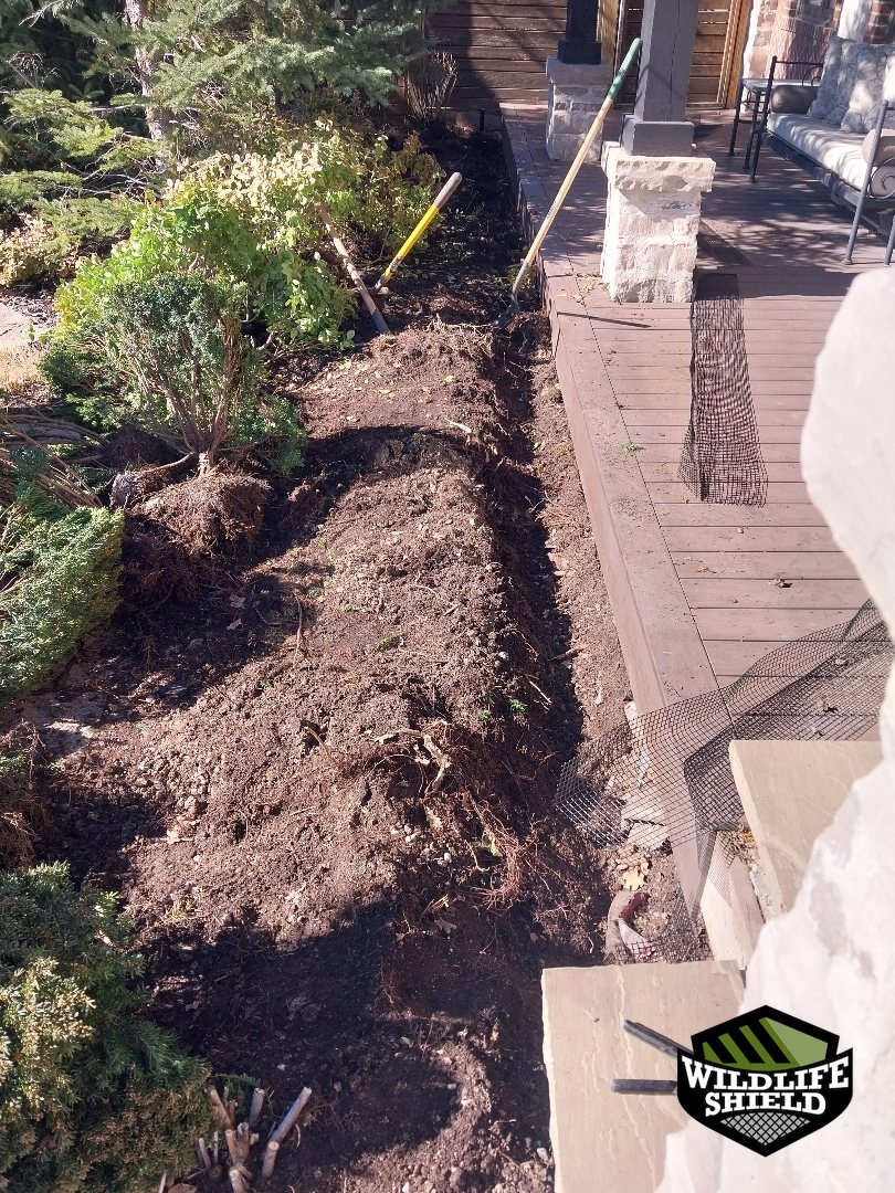 vaughan exterior overview inspection 01