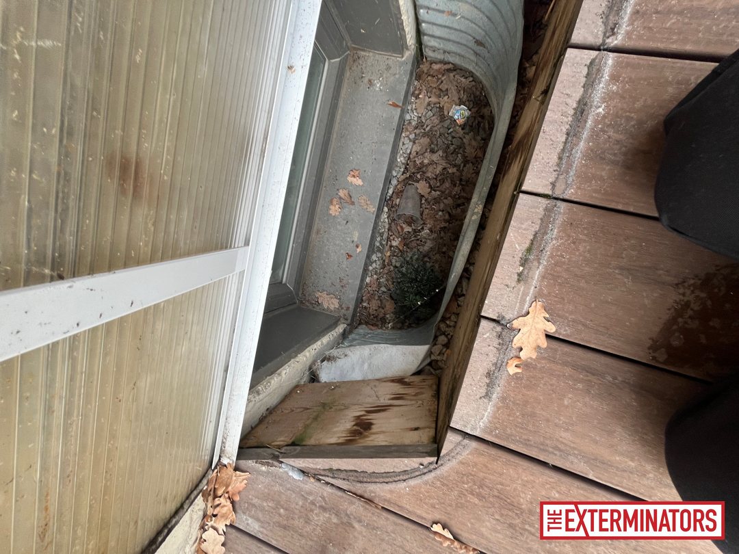 vaughan exterior overview inspection 10 vaughan exterior overview inspection 10