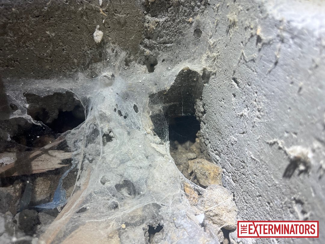 vaughan foundation gap opening inspection 01 vaughan foundation gap opening inspection 01