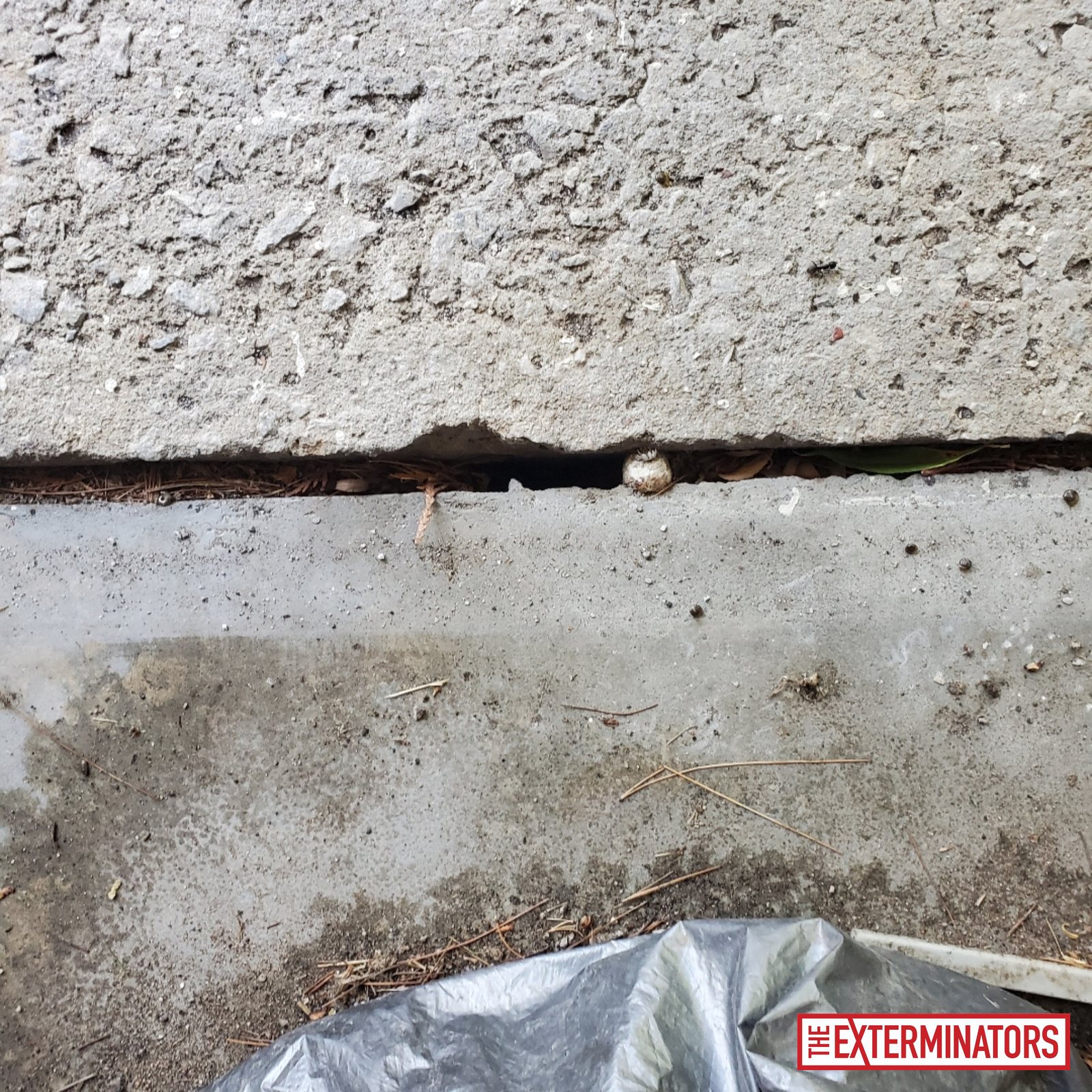 vaughan foundation gap opening inspection 02