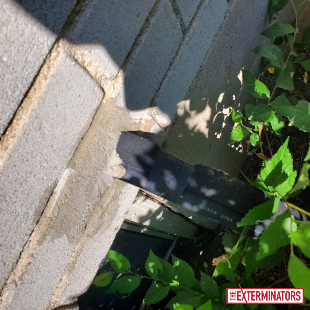 vaughan foundation gap opening inspection 04 vaughan foundation gap opening inspection 04