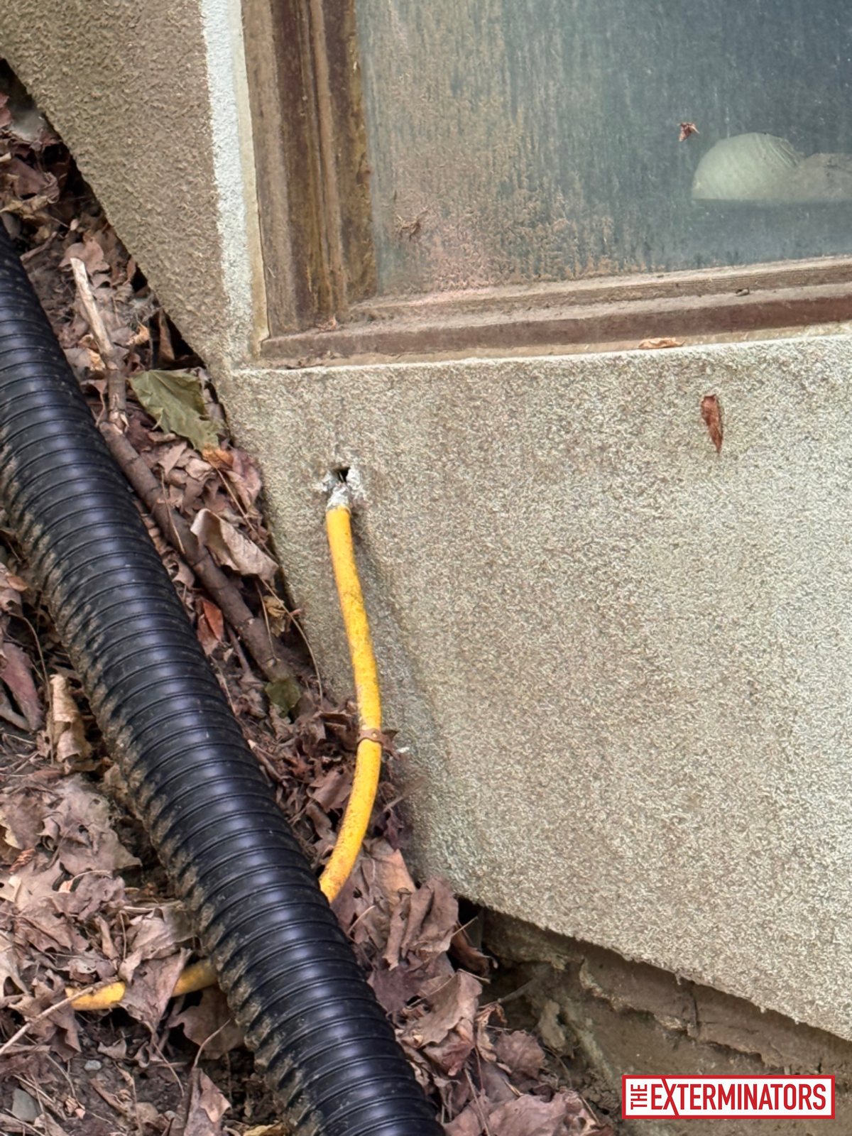 vaughan foundation plumbing vent inspection 01 vaughan foundation plumbing vent inspection 01