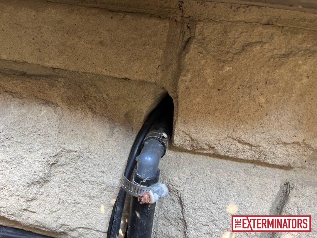 vaughan foundation plumbing vent inspection 04 vaughan foundation plumbing vent inspection 04