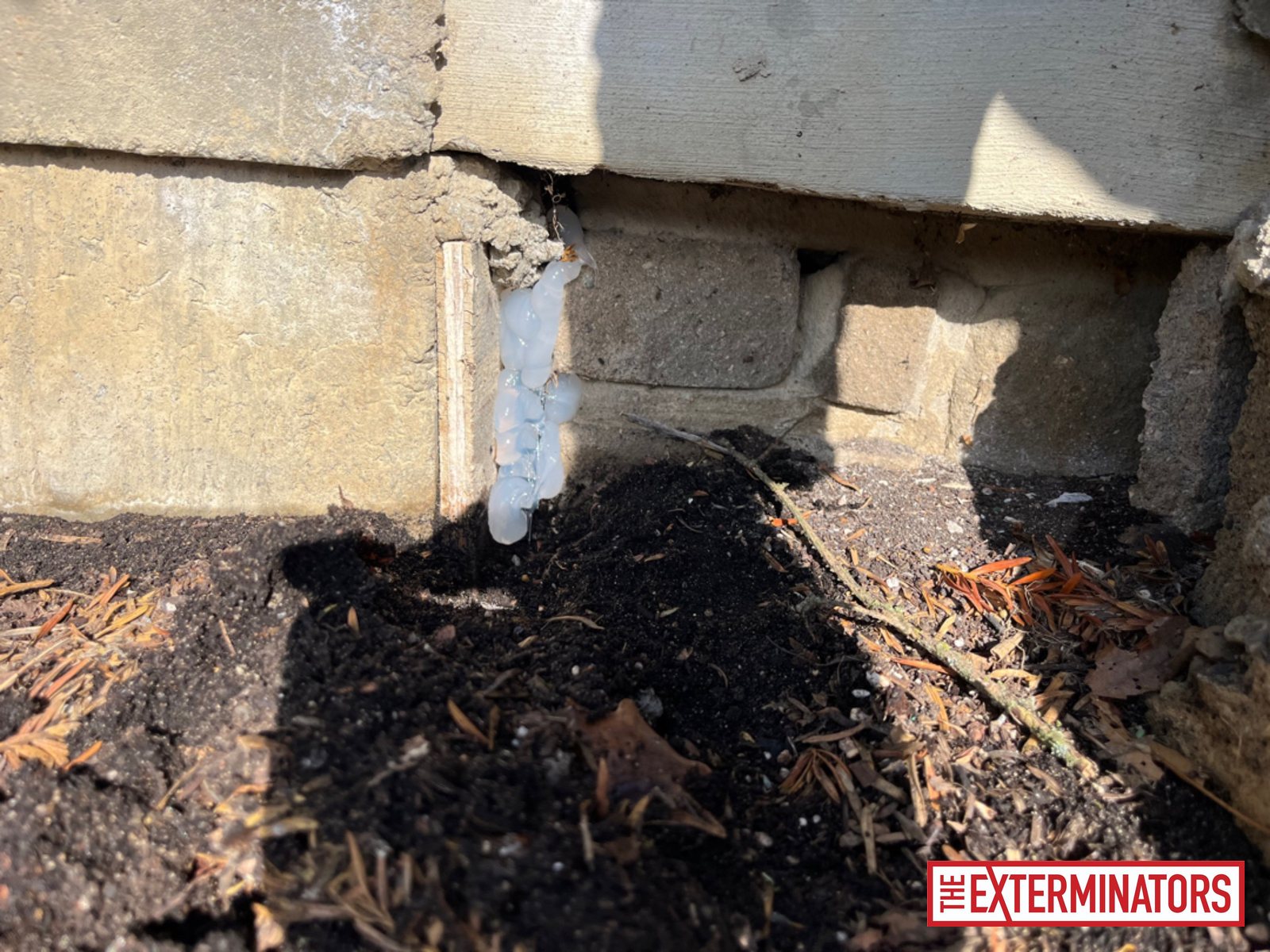 vaughan foundation sealant install 05 vaughan foundation sealant install 05