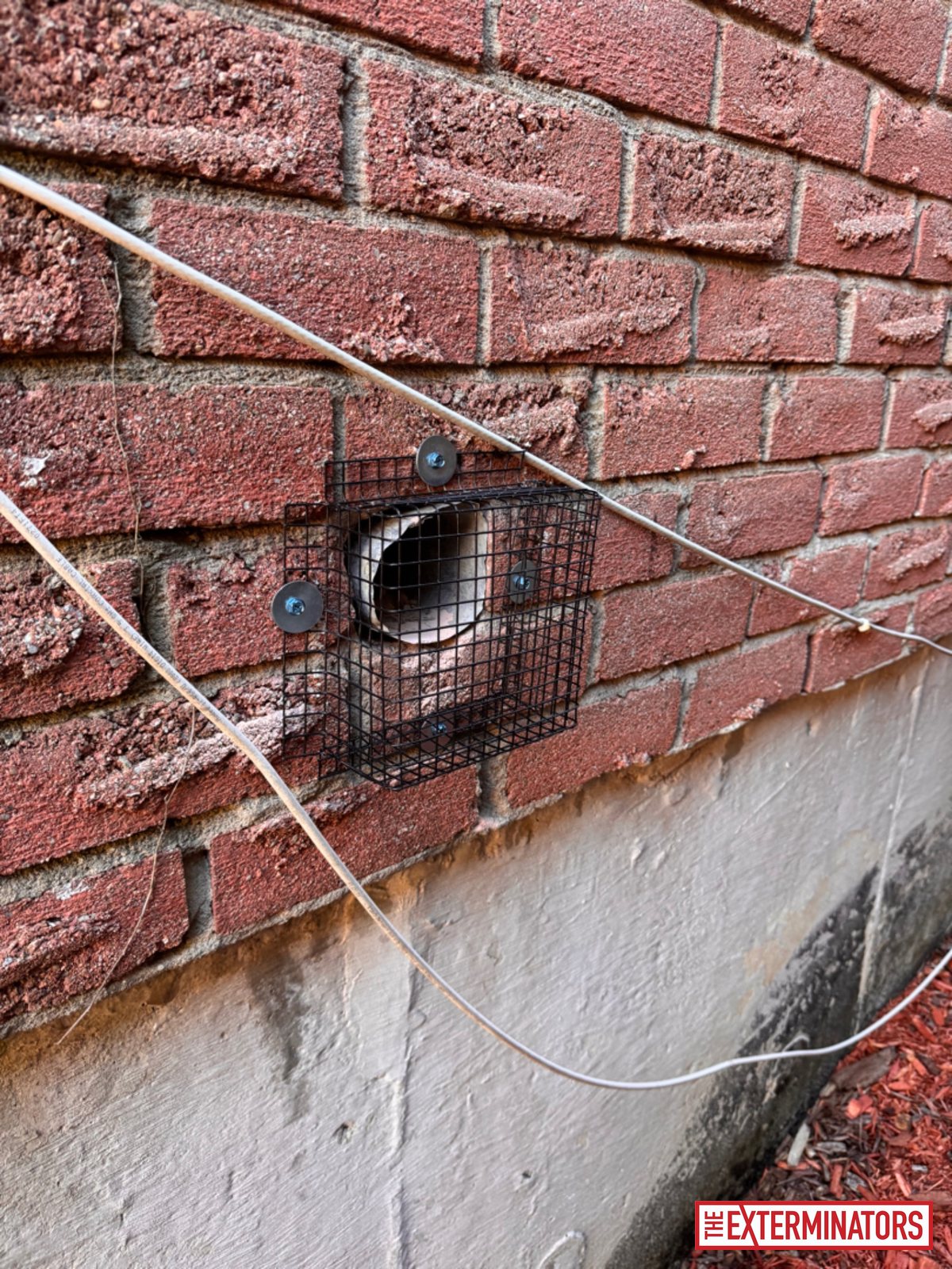 vaughan foundation wall vent after 02