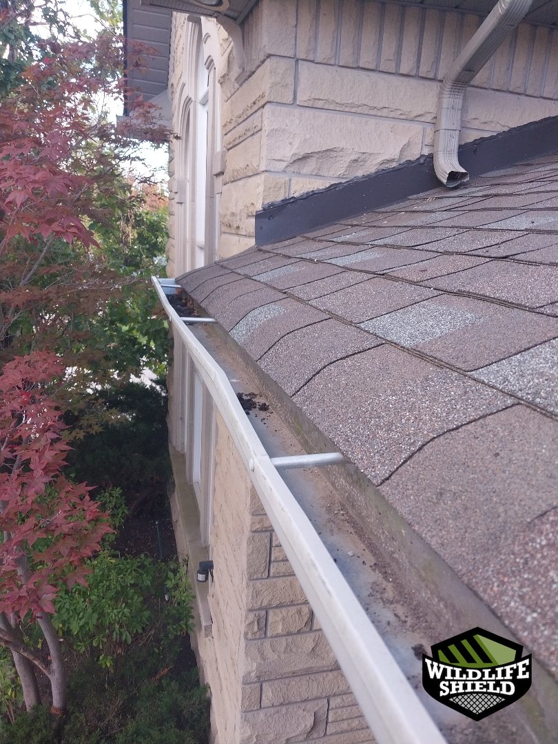 vaughan roof entry point inspection 02 vaughan roof entry point inspection 02