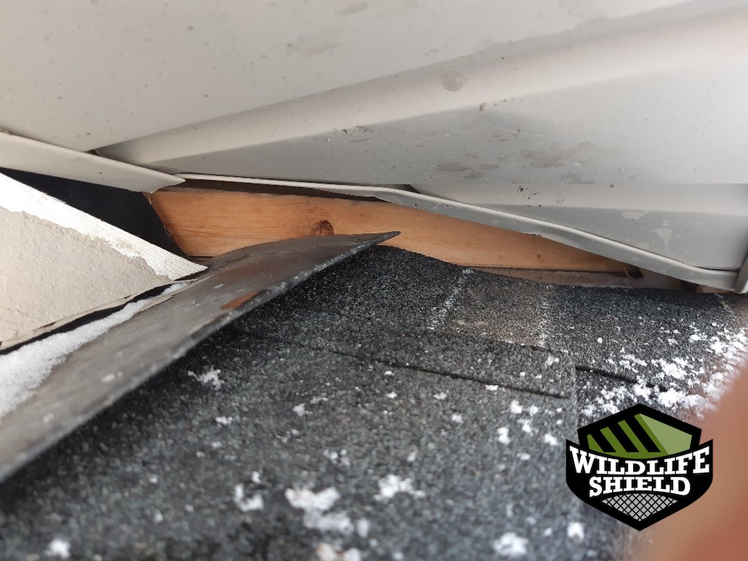 vaughan roof gap opening inspection 01