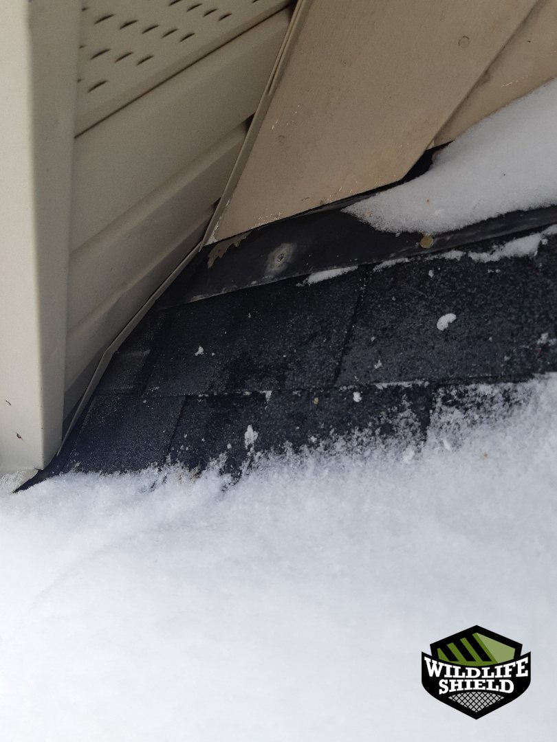 vaughan roof gap opening inspection 02 vaughan roof gap opening inspection 02