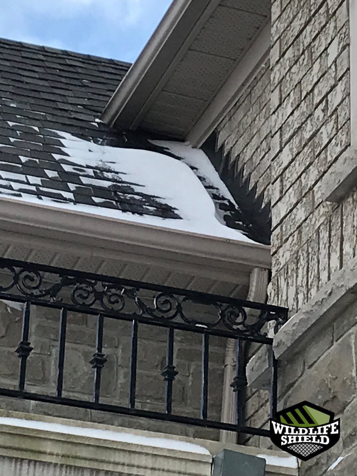 vaughan roof overview inspection 02 vaughan roof overview inspection 02