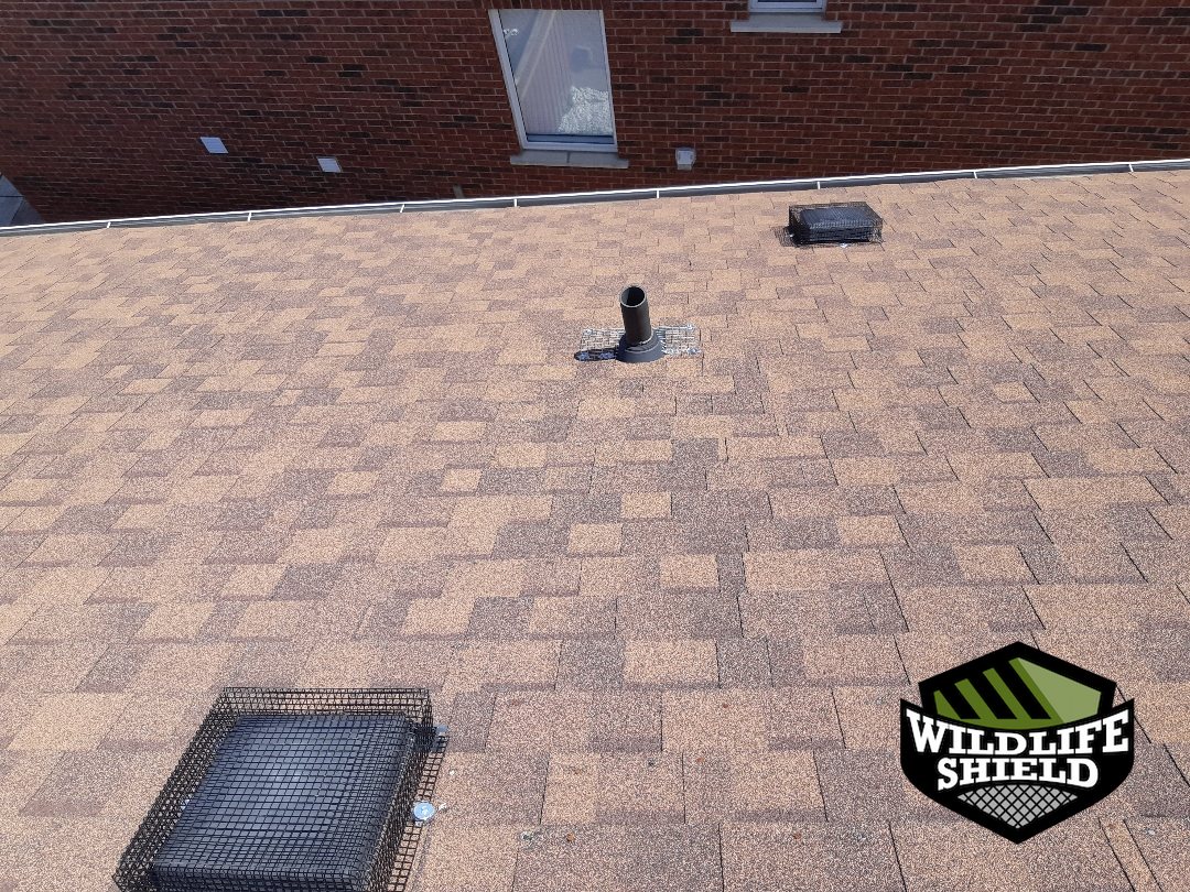 vaughan roof roof vent after 02