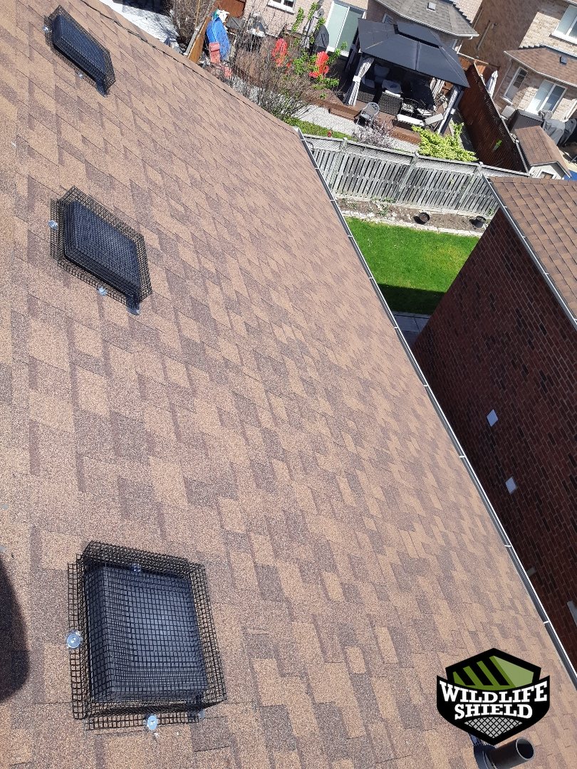 vaughan roof roof vent after 03 vaughan roof roof vent after 03