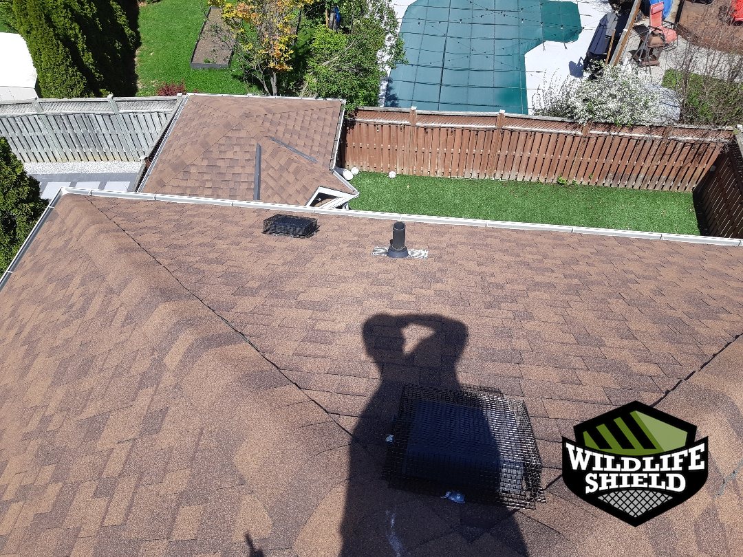 vaughan roof roof vent after 04 vaughan roof roof vent after 04