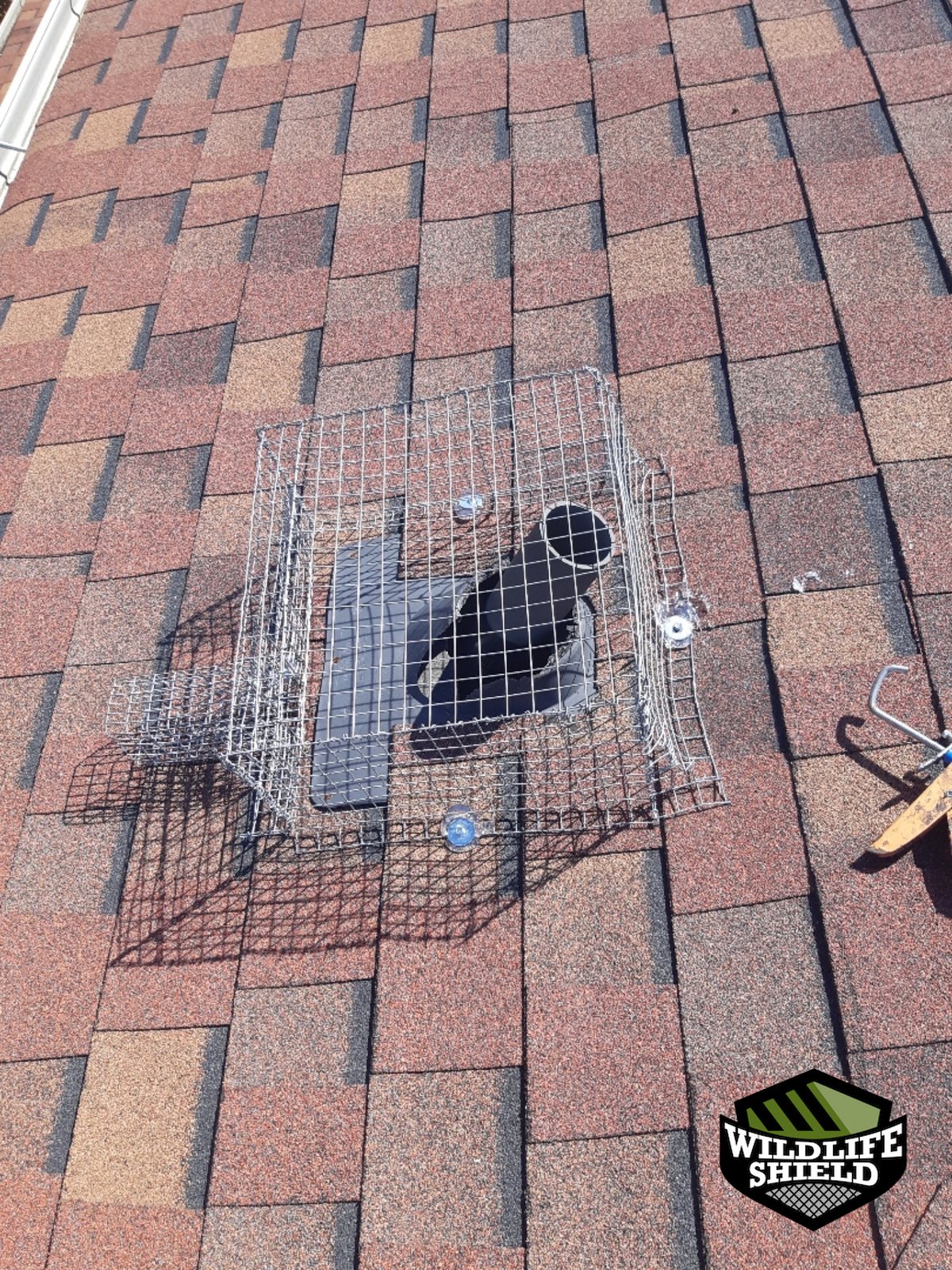 vaughan roof screening after 04