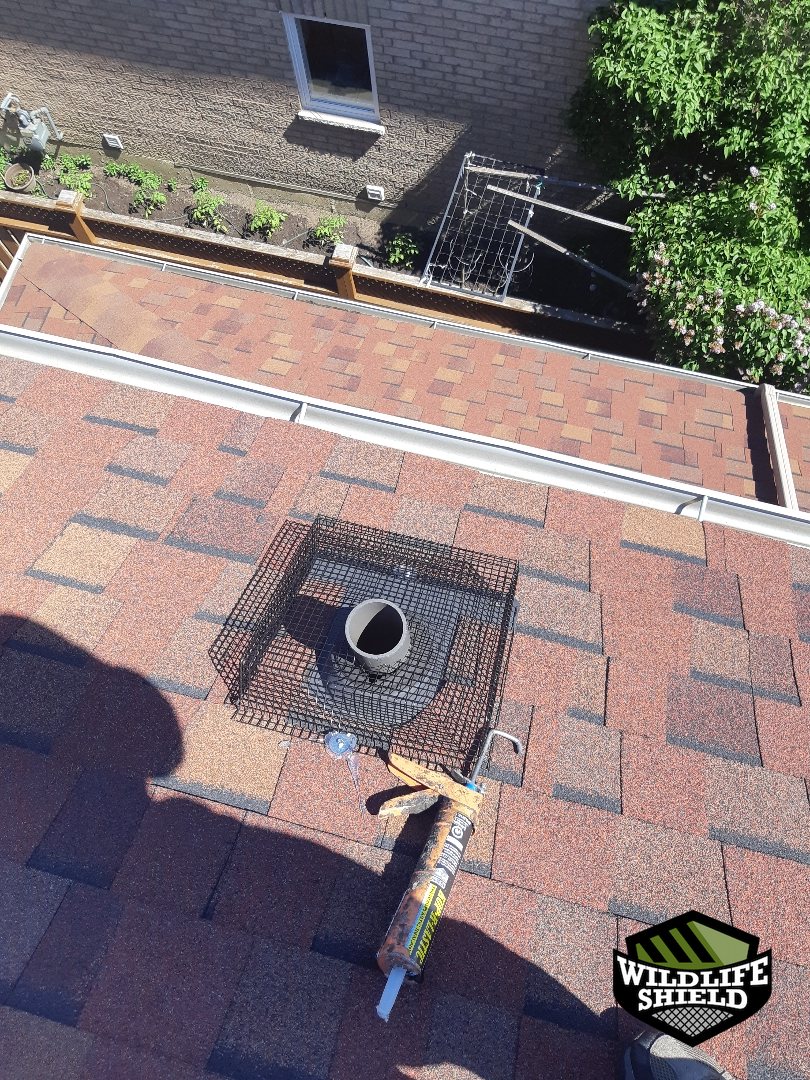 vaughan roof screening install 03 vaughan roof screening install 03