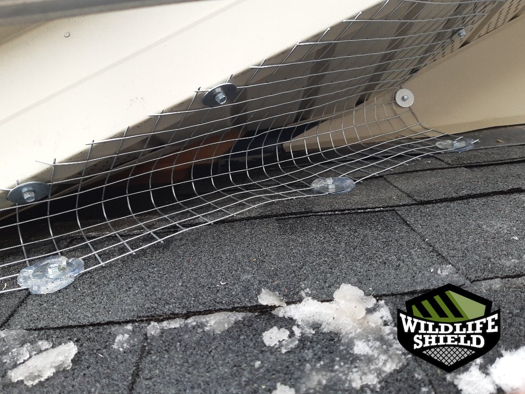 vaughan roof screening install 05 vaughan roof screening install 05