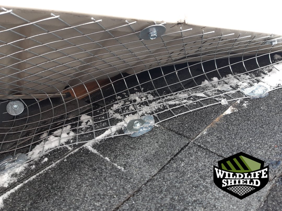 vaughan roof screening install 07 vaughan roof screening install 07