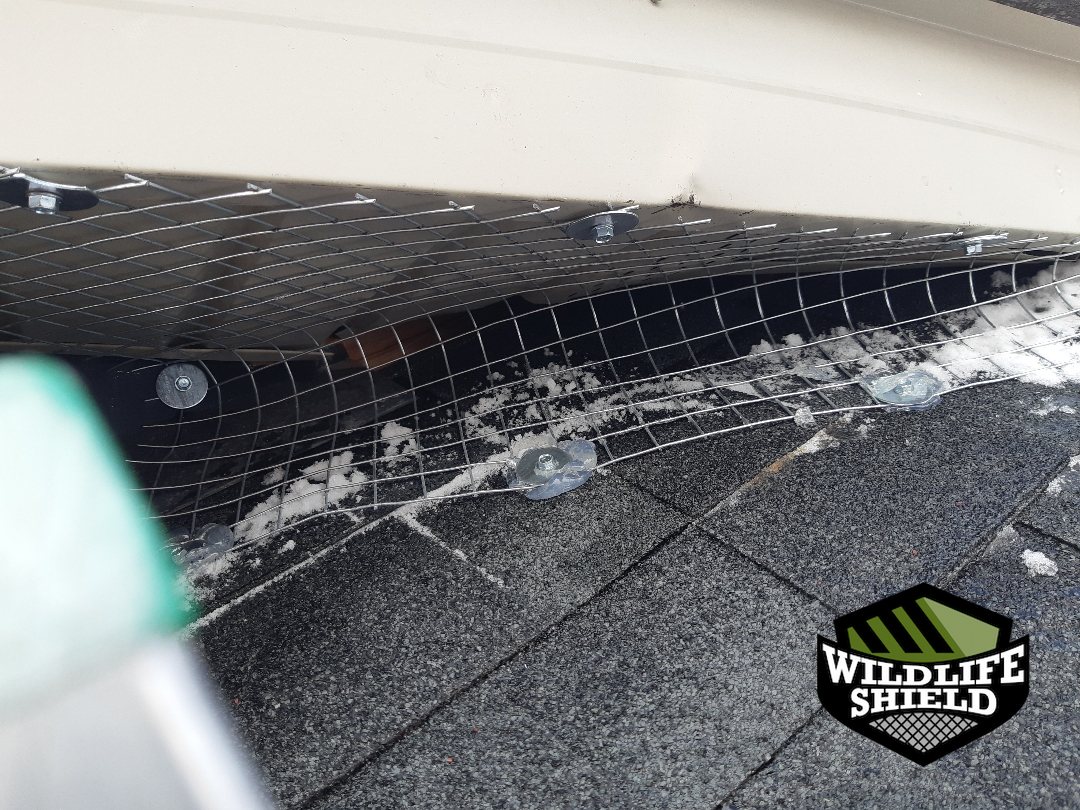 vaughan roof screening install 08 vaughan roof screening install 08