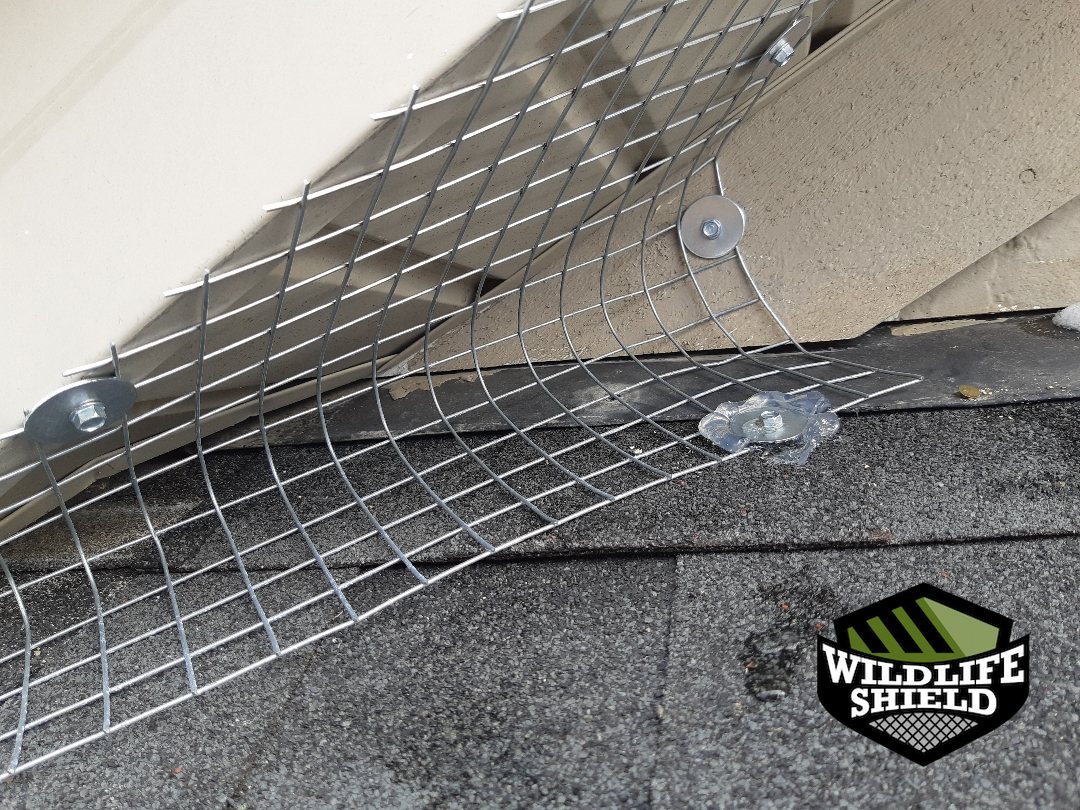 vaughan roof screening install 09 vaughan roof screening install 09