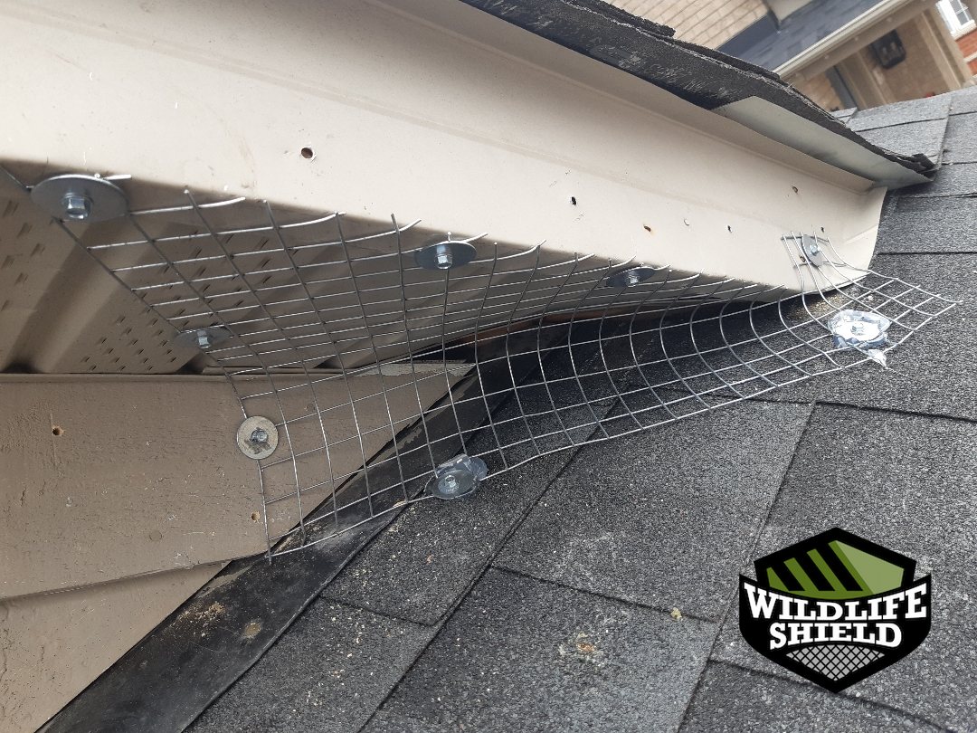 vaughan roof screening install 10 vaughan roof screening install 10