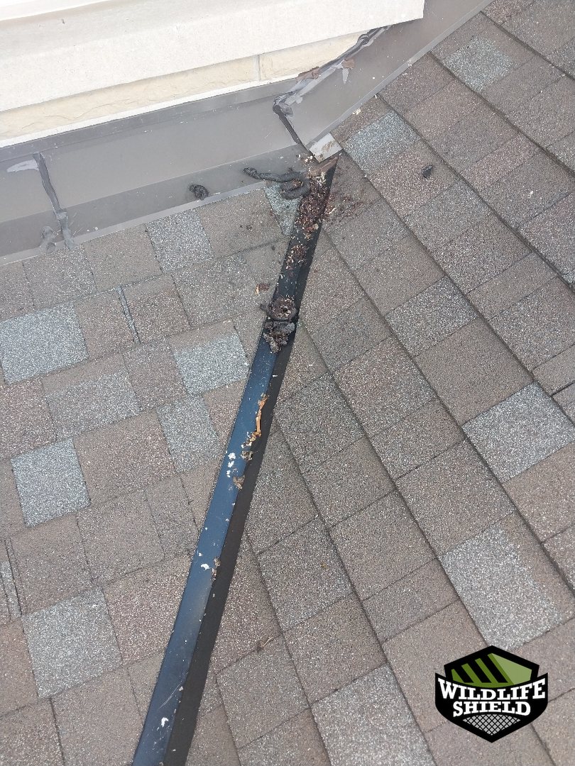 vaughan roof structural damage inspection 08 vaughan roof structural damage inspection 08