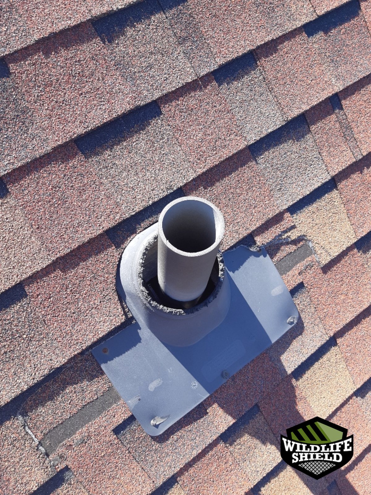 vaughan roof vent plumbing vent before 01 vaughan roof vent plumbing vent before 01