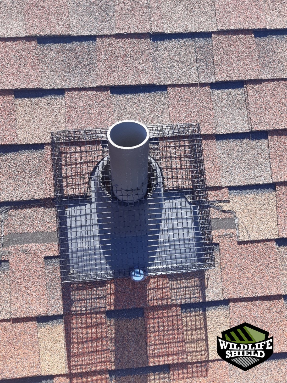 vaughan roof vent screening install 02 vaughan roof vent screening install 02