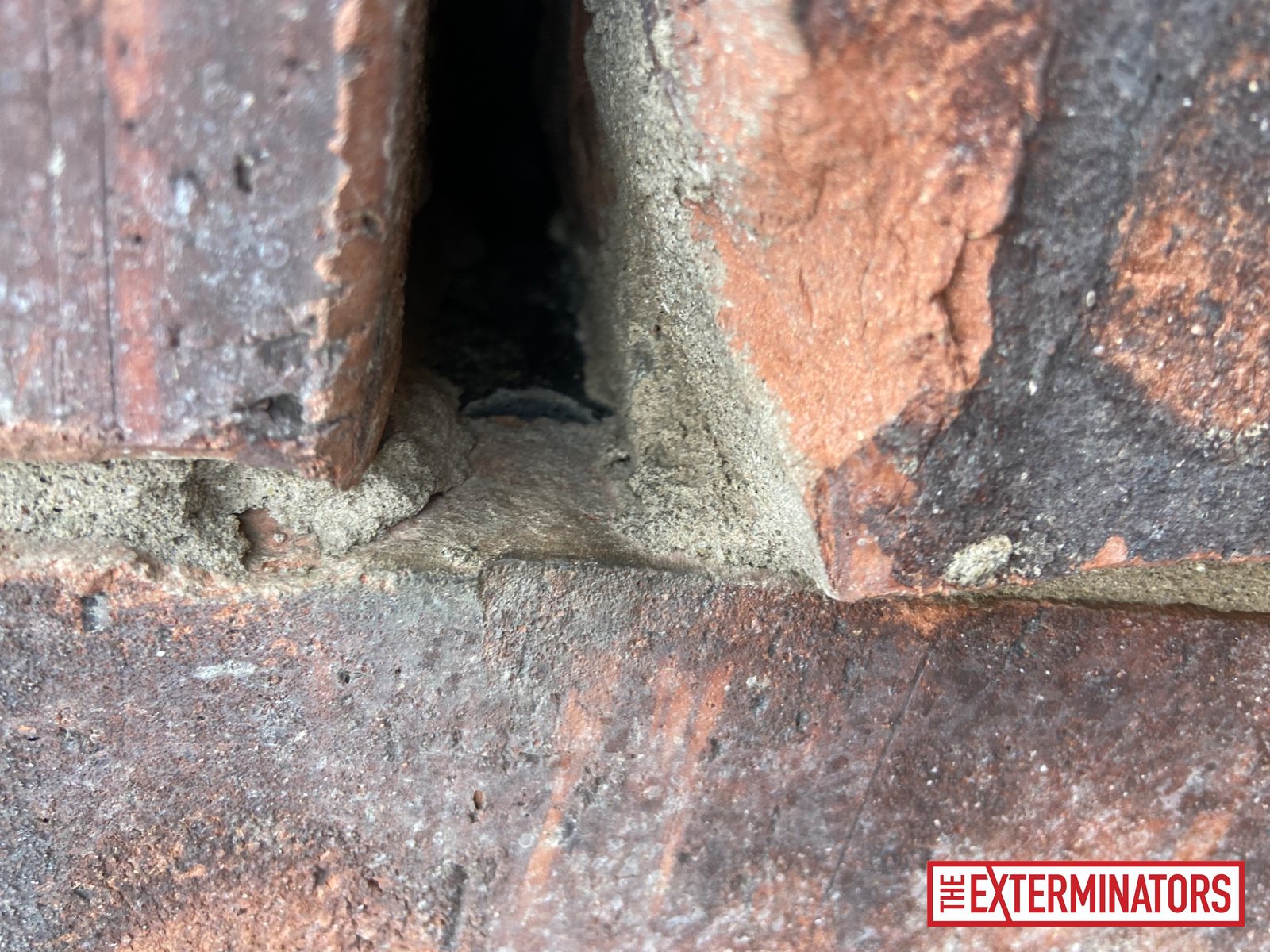 vaughan siding gap opening inspection 03