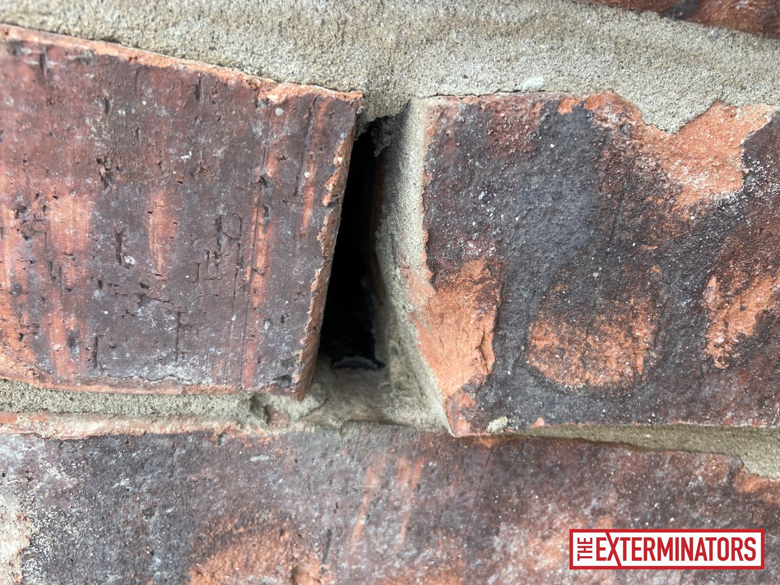 vaughan siding gap opening inspection 06 vaughan siding gap opening inspection 06