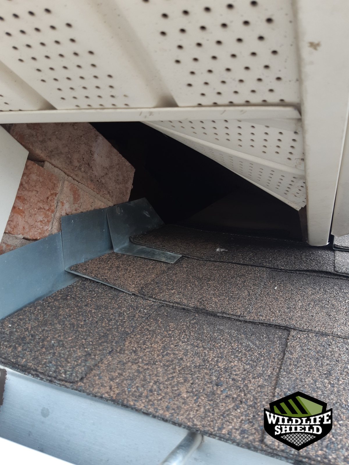 vaughan soffit entry point inspection 10