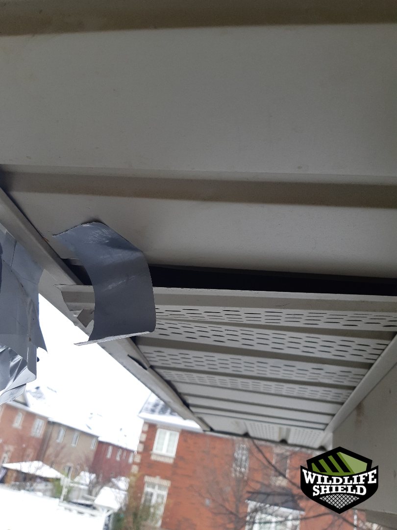 vaughan soffit gap opening inspection 01 vaughan soffit gap opening inspection 01