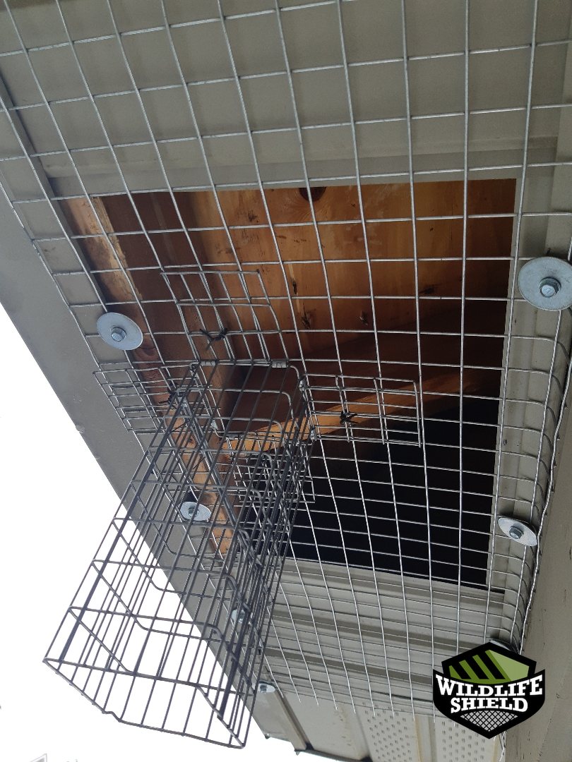 vaughan soffit one way door install 02 vaughan soffit one way door install 02