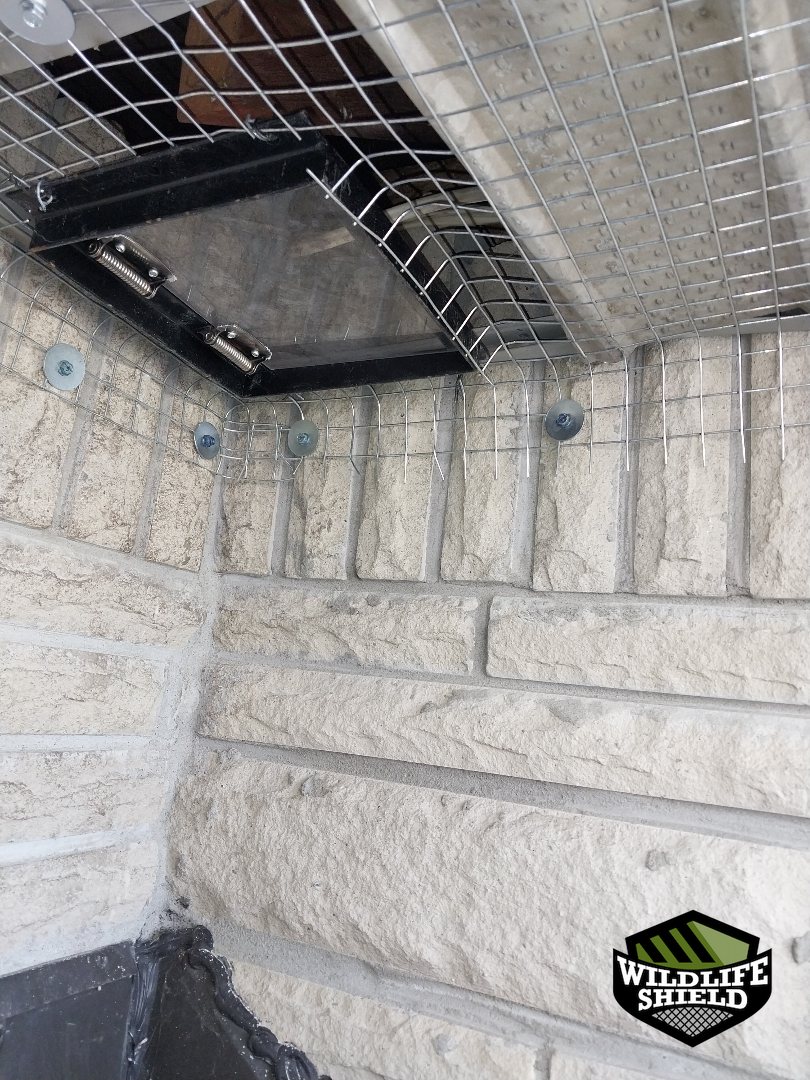 vaughan wall vent one way door install 07 vaughan wall vent one way door install 07