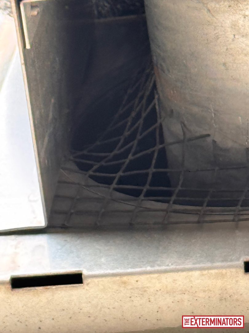 vaughan wall vent screening inspection 02 vaughan wall vent screening inspection 02